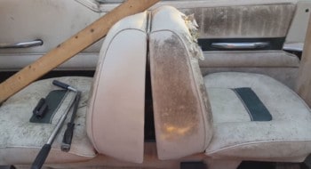 Looking at the sides of very moldy back to back seats, it can be seen where I cleaned the left side so it can be compared to the right side producing an amaizing result.