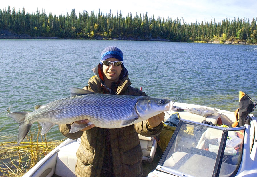 are bowriders good for fishing – openbow boat fishing