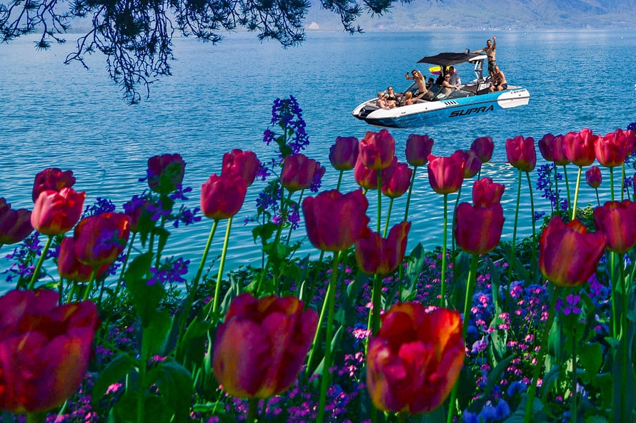 A Supra wake boat out in the water with eight people in it with flowers on shore and hills in the background.