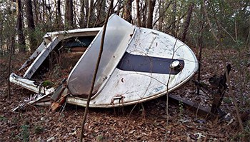 An abandoned boat laying on it's side out in the forest with plants groing in it.